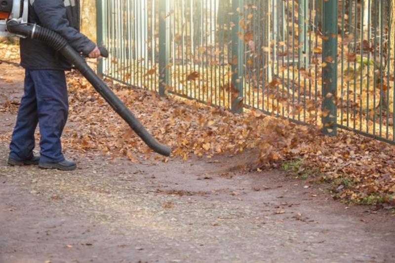 Leaf Blowing & Collection