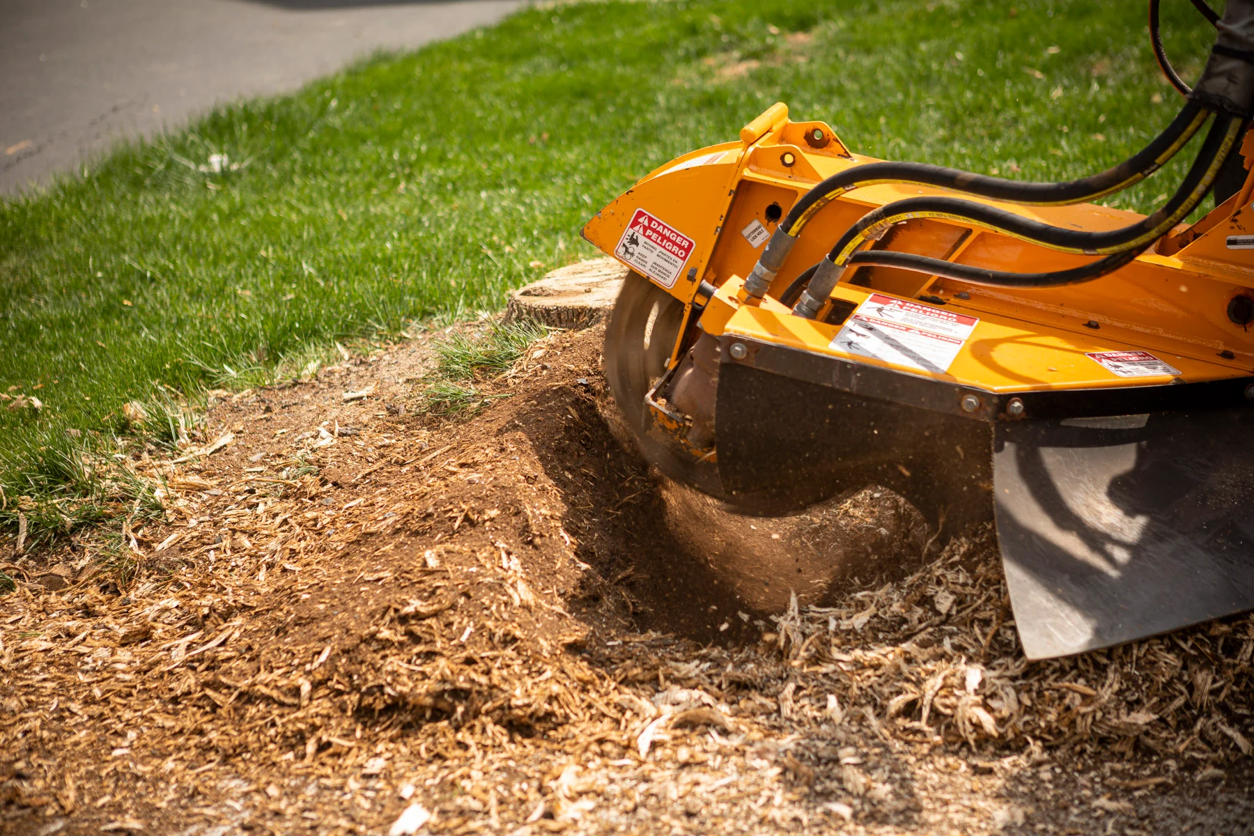 Stump Grinding & Removal