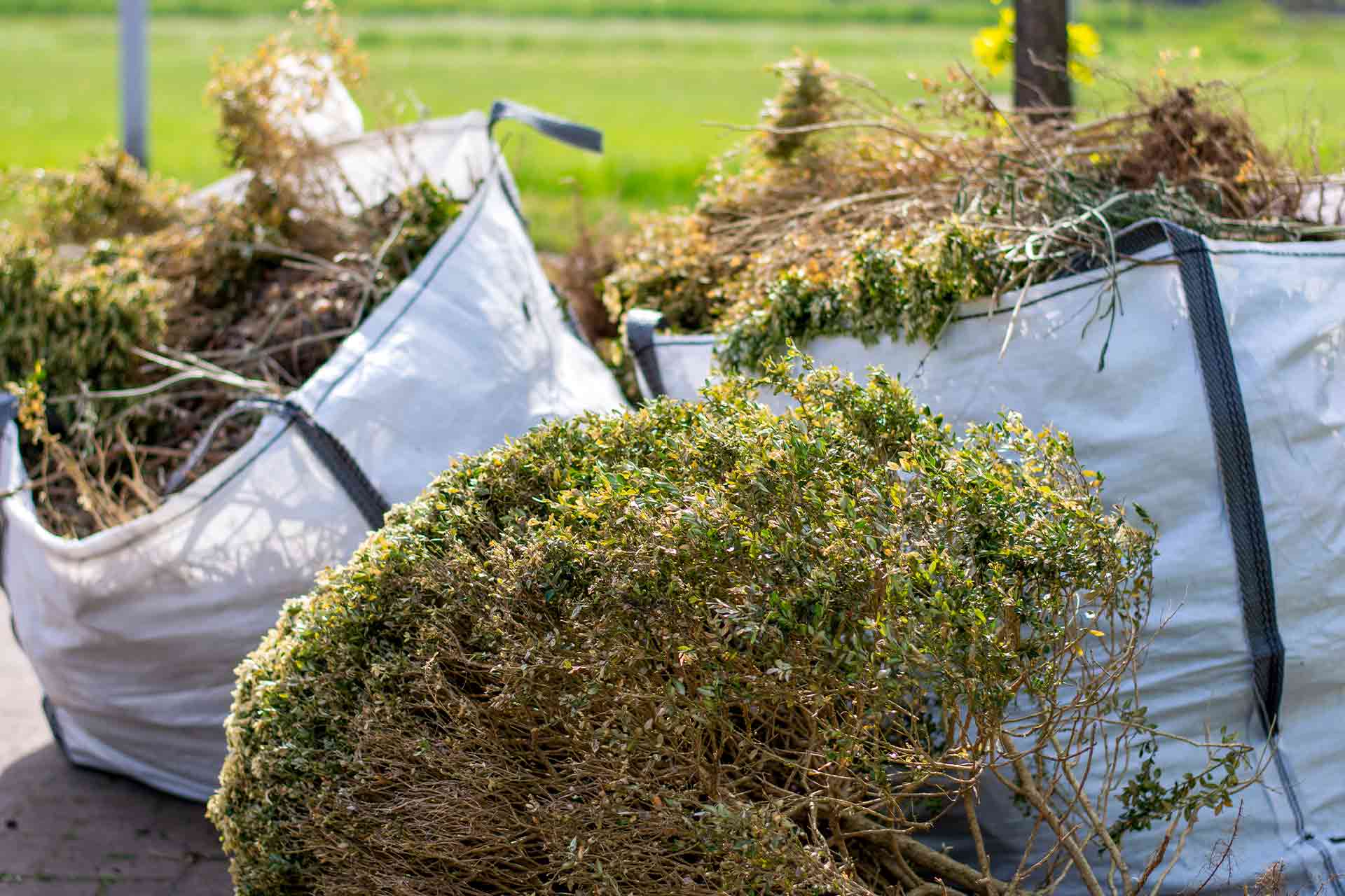 Garden Waste Removal & Recycling