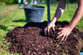 Mulching & Composting