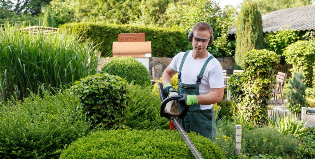 Grounds Maintenance for Businesses