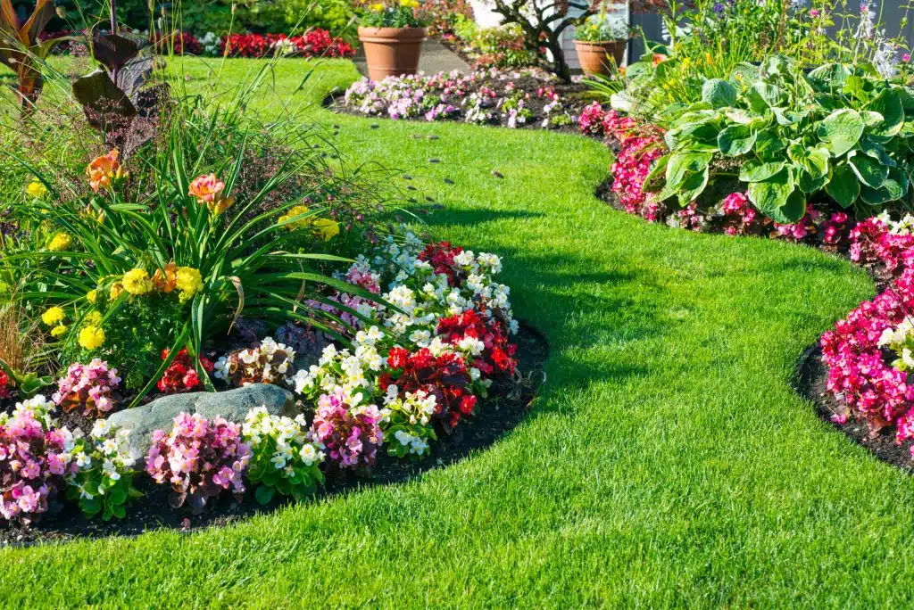 Lawn Edging